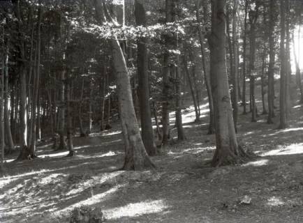 ARH NL Kageler 3293, Gehrdener Berg, ohne Datum