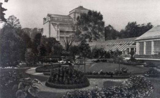 ARH NL Koberg 50, Palmenhaus im Berggarten Herrenhausen, Hannover, vor 1939
