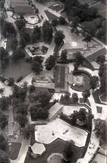 ARH NL Koberg 11568, Zoo, Hannover, 1964