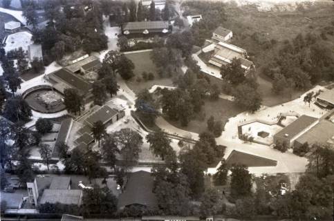 ARH NL Koberg 11569, Zoo, Hannover, 1964