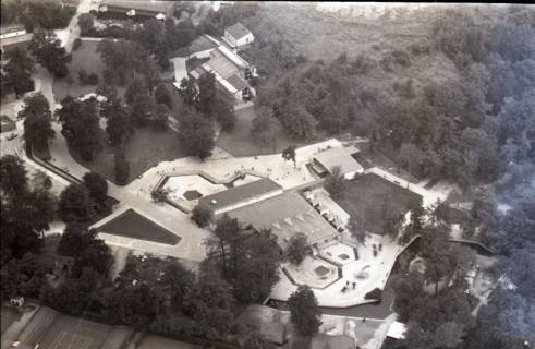 ARH NL Koberg 11570, Zoo, Hannover, 1964