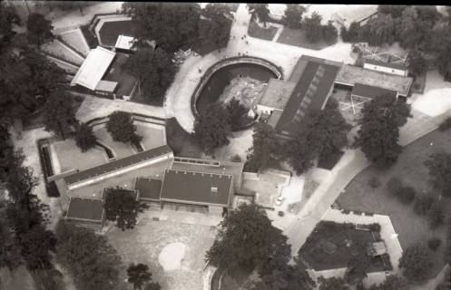 ARH NL Koberg 11573, Bärengehege im Zoo Hannover, 1964