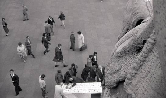 ARH NL Koberg 11589, Blick vom Ernst-August-Denkmal, Hannover, 1950