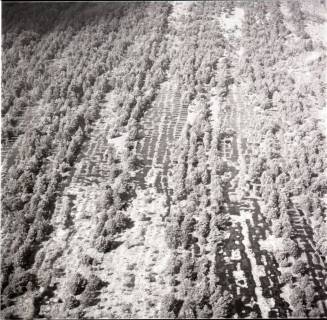 ARH NL Koberg 1367, Otternhagener Moor, Resse, 1969
