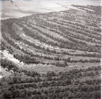 ARH NL Koberg 1368, Otternhagener Moor, Südwest, Blickrichtung Westen, Resse, 1969
