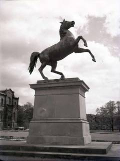 ARH NL Koberg 175, "Steigendes Pferd" (Sachsenross) vor der Universität, Hannover, wohl 1955