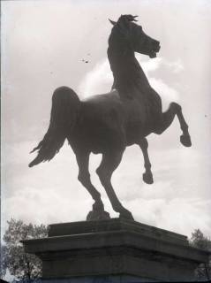 ARH NL Koberg 176, "Springendes Pferd" (Sachsenross) vor der Universität, Hannover, wohl 1955
