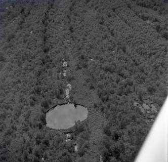 ARH NL Koberg 1821, Moortümpel im Naturschutzgebiet, Bissendorfer Moor, 1971