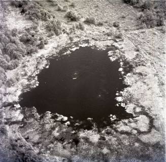 ARH NL Koberg 1823, Muswillensee, 1971