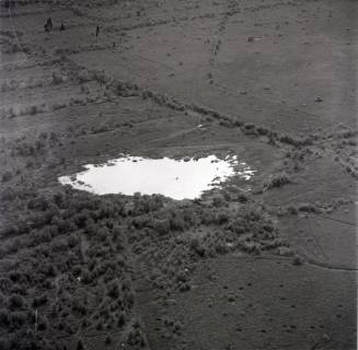 ARH NL Koberg 1828, Muswillensee, 1971