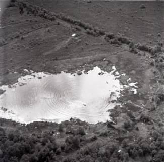 ARH NL Koberg 1831, Muswillensee, 1971