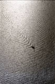 ARH NL Koberg 1944, Segelboote, Steinhuder Meer, 1971