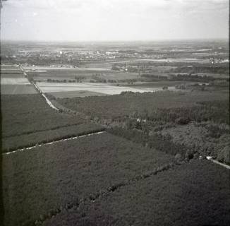 ARH NL Koberg 1990, Staatsforst, Uetze, 1970