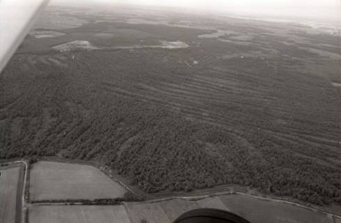 ARH NL Koberg 2697, Helstorfer Moor, Neustadt am Rübenberge, 1976