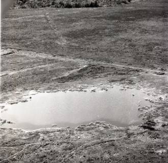 ARH NL Koberg 2849, Muswillensee, Bissendorfer Moor, 1975