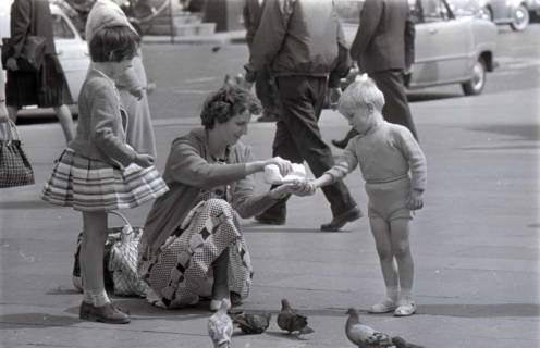 ARH NL Koberg 288, Tauben auf dem Ernst-August-Platz, Hannover, 1962