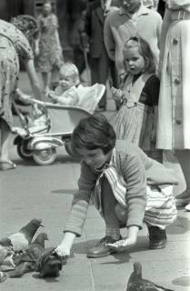 ARH NL Koberg 291, Tauben auf dem Ernst-August-Platz, Hannover, 1962