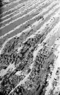 ARH NL Koberg 3297, Otternhagener Moor, Otternhagen, 1960