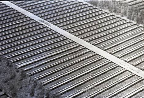 ARH NL Koberg 3623, Totes Moor, Neustadt a. Rbge., 1960