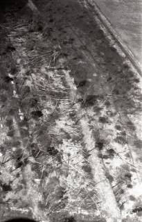 ARH NL Koberg 3632, Totes Moor, Neustadt a. Rbge., 1960