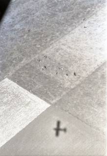 ARH NL Koberg 3645, Ein Feld mit Kühen, 1960