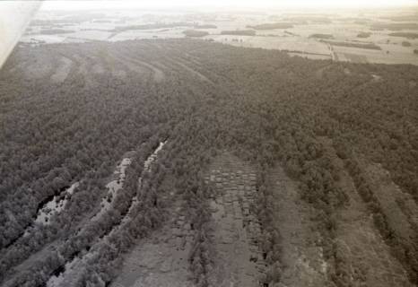 ARH NL Koberg 3775, Helstorfer Moor, Wedemark, 1976