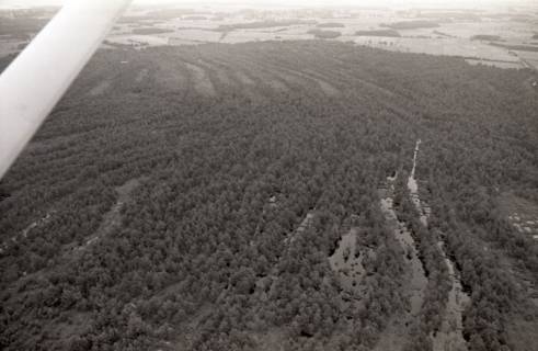 ARH NL Koberg 3776, Helstorfer Moor, Wedemark, 1976