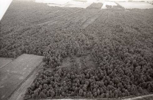 ARH NL Koberg 3784, Helstorfer Moor, Wedemark, 1976