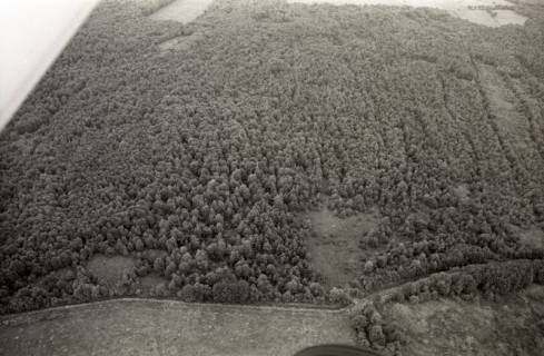 ARH NL Koberg 3788, Helstorfer Moor, Wedemark, 1976