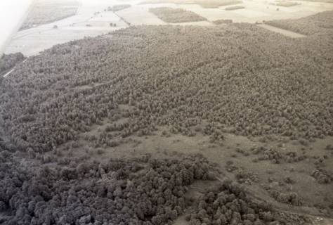 ARH NL Koberg 3793, Helstorfer Moor, Wedemark, 1976