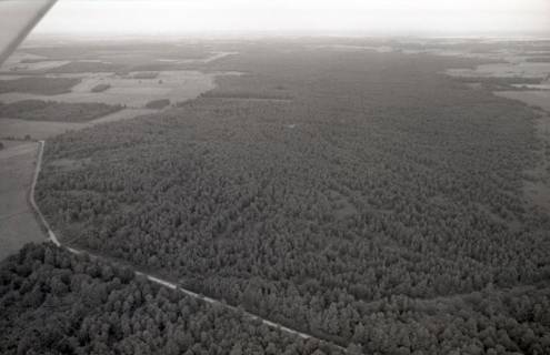 ARH NL Koberg 3795, Helstorfer Moor, Wedemark, 1976