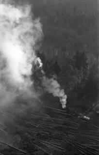 ARH NL Koberg 4225, Abbrennungen im Wald durch Forstarbeiter, bei Nienburg/Weser, 1961