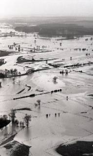 ARH NL Koberg 4351, Hochwasser, Leinebrücke, Lohnde, 1960