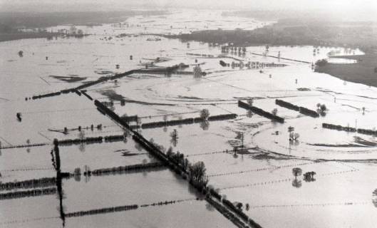 ARH NL Koberg 4362, Hochwasser der Leine, zwischen Schloß Ricklingen und Bordenau, 1960