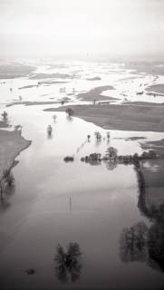 ARH NL Koberg 4396, Leinehochwasser, Mariensee, 1960