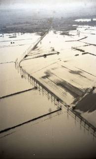 ARH NL Koberg 4399, Leinehochwasser, Mandelsloh, 1960