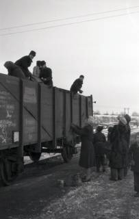 ARH NL Koberg 5021, Personen beim Kohlendiebstahl, am Südbahnhof, Hannover, 1945