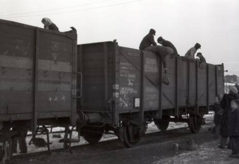 ARH NL Koberg 5022, Personen beim Kohlendiebstahl, am Südbahnhof, Hannover, 1945
