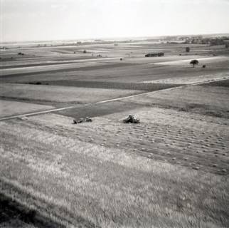 ARH NL Koberg 5187, Ernte im Landkreis Hannover, 1958