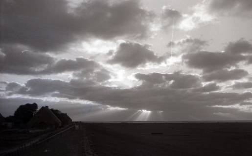 ARH NL Koberg 5400, Weide, Wolken und Meer, Insel Neuwerk, 1958