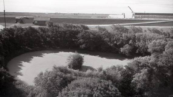 ARH NL Koberg 5412, Büsche, Deich und Meer, Rundblick vom Leuchtturm, Insel Neuwerk, 1958