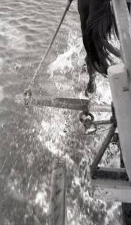 ARH NL Koberg 5446, Pferdewagen im Watt, bei Insel Neuwerk, 1957
