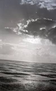 ARH NL Koberg 5549, Blick aufs Meer, Insel Neuwerk, 1957