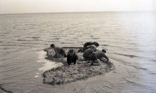 ARH NL Koberg 5555, Kinder spielen im Watt, Insel Neuwerk, 1957