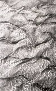 ARH NL Koberg 5634, Watt, Insel Neuwerk, 1957