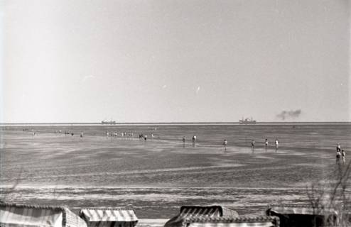 ARH NL Koberg 5678, Watt, Insel Neuwerk, 1958