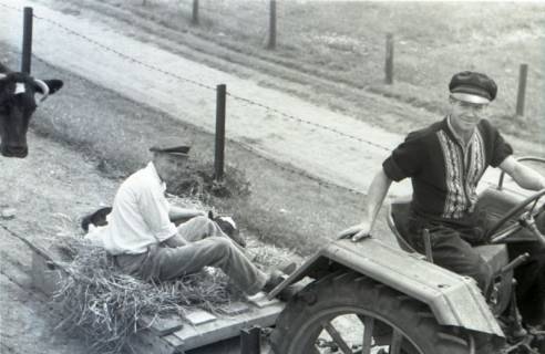 ARH NL Koberg 5702, Personen auf einem Traktor, Insel Neuwerk, 1958