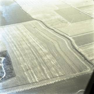 ARH NL Koberg 5959, Felder bei Eldagsen, 1958