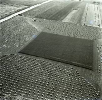 ARH NL Koberg 5960, Felder bei Eldagsen, 1958