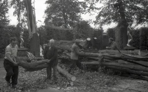 ARH NL Koberg 6434, Sturmschäden in Herrenhausen, Hannover, 1951